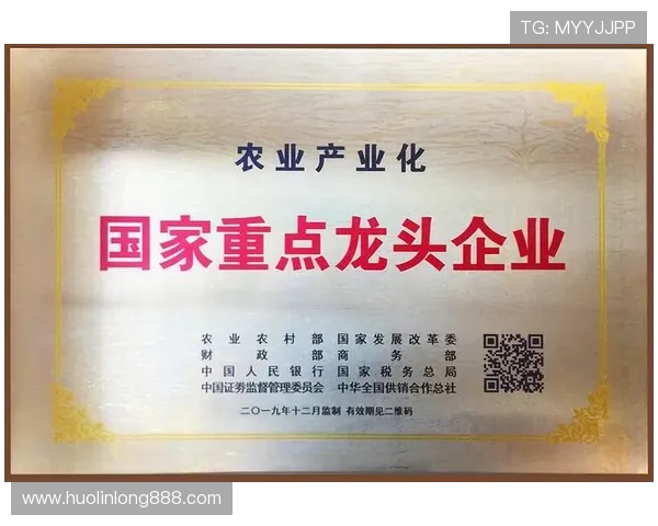 开云电子官方网站：了解公司最新产品与服务的官方平台