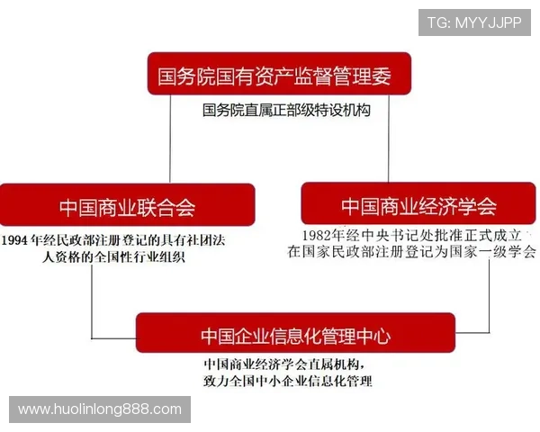 开云体育网址入口之外的备用登录渠道，确保用户在不同设备环境下都能顺畅进入平台进行体育投注