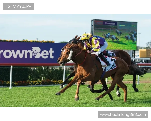 久发体育打造专业体育装备品牌提升运动员竞技水平和品牌影响力 久发体育打造专业体育装备品牌提升运动员竞技水平和品牌影响力